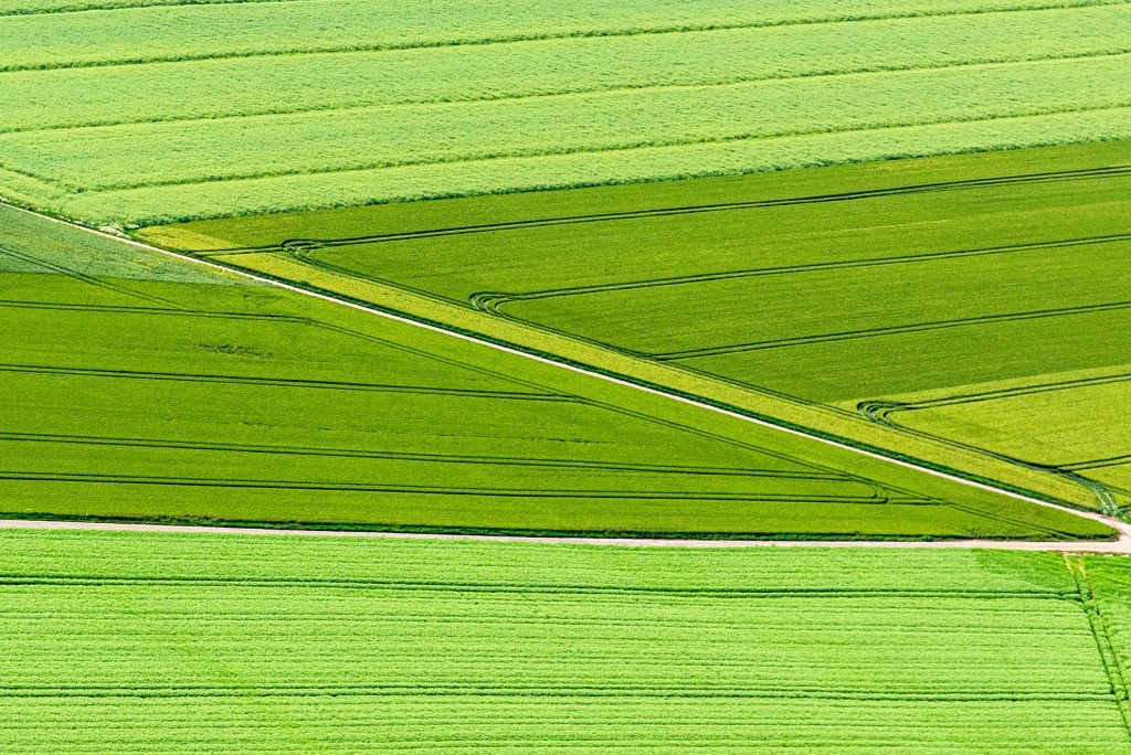 encore un vert