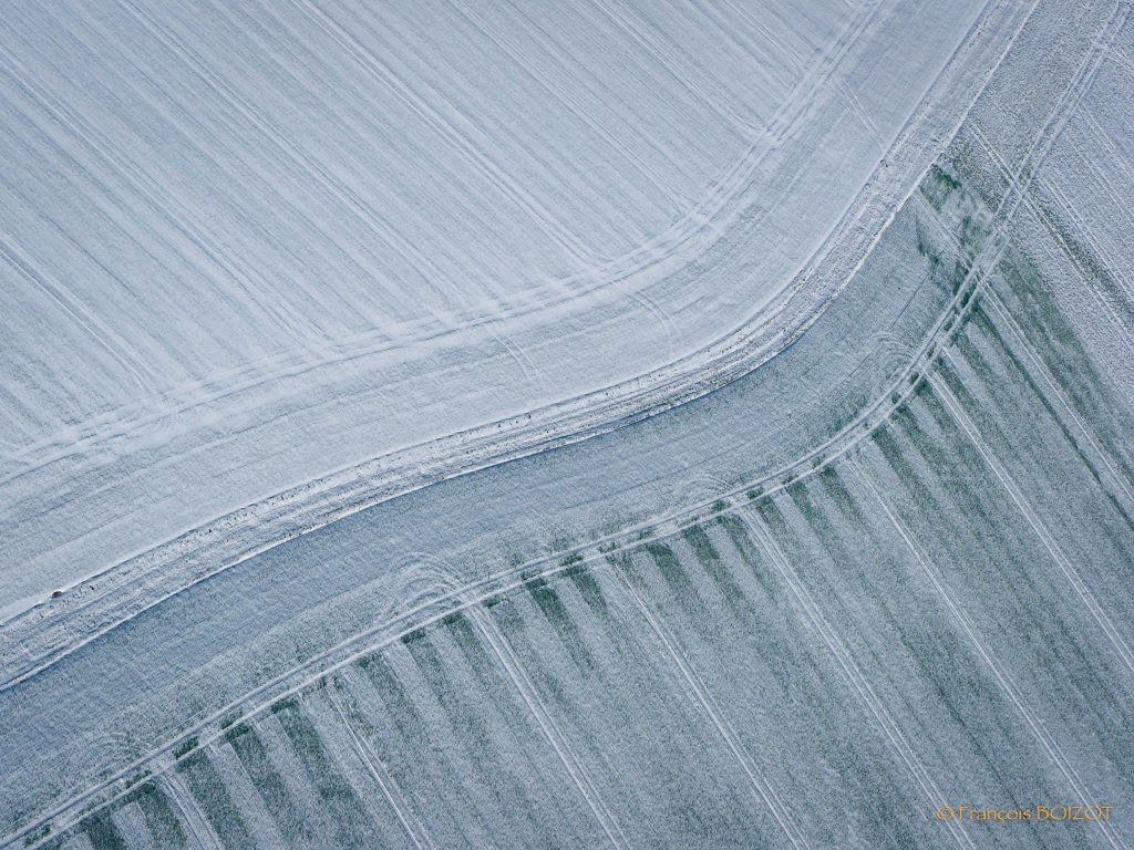 peigne blanc