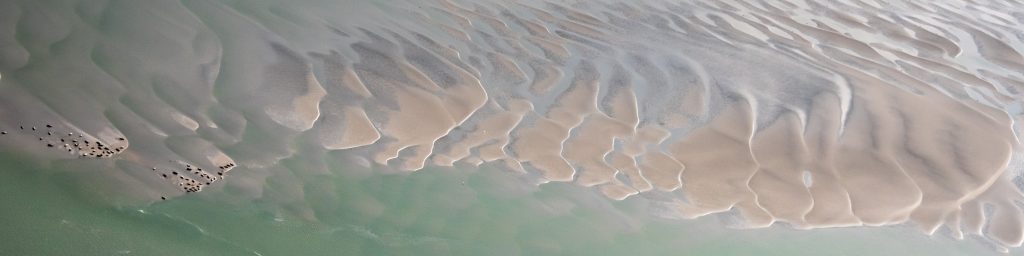 natural waves