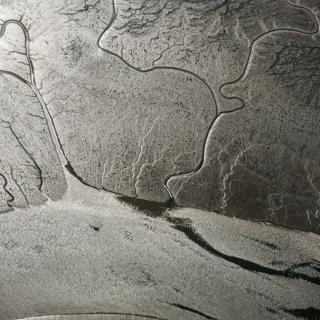 peau d'argent